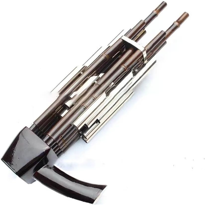 Amplified Sheng, 14-Spring, Includes Accessories And Storage Bag, Melodious Tunes