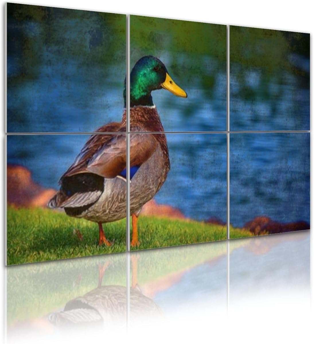 6 Pack Art Acoustic Panels Self Adhesive Northern Mallard Anas platyrhynchos 48