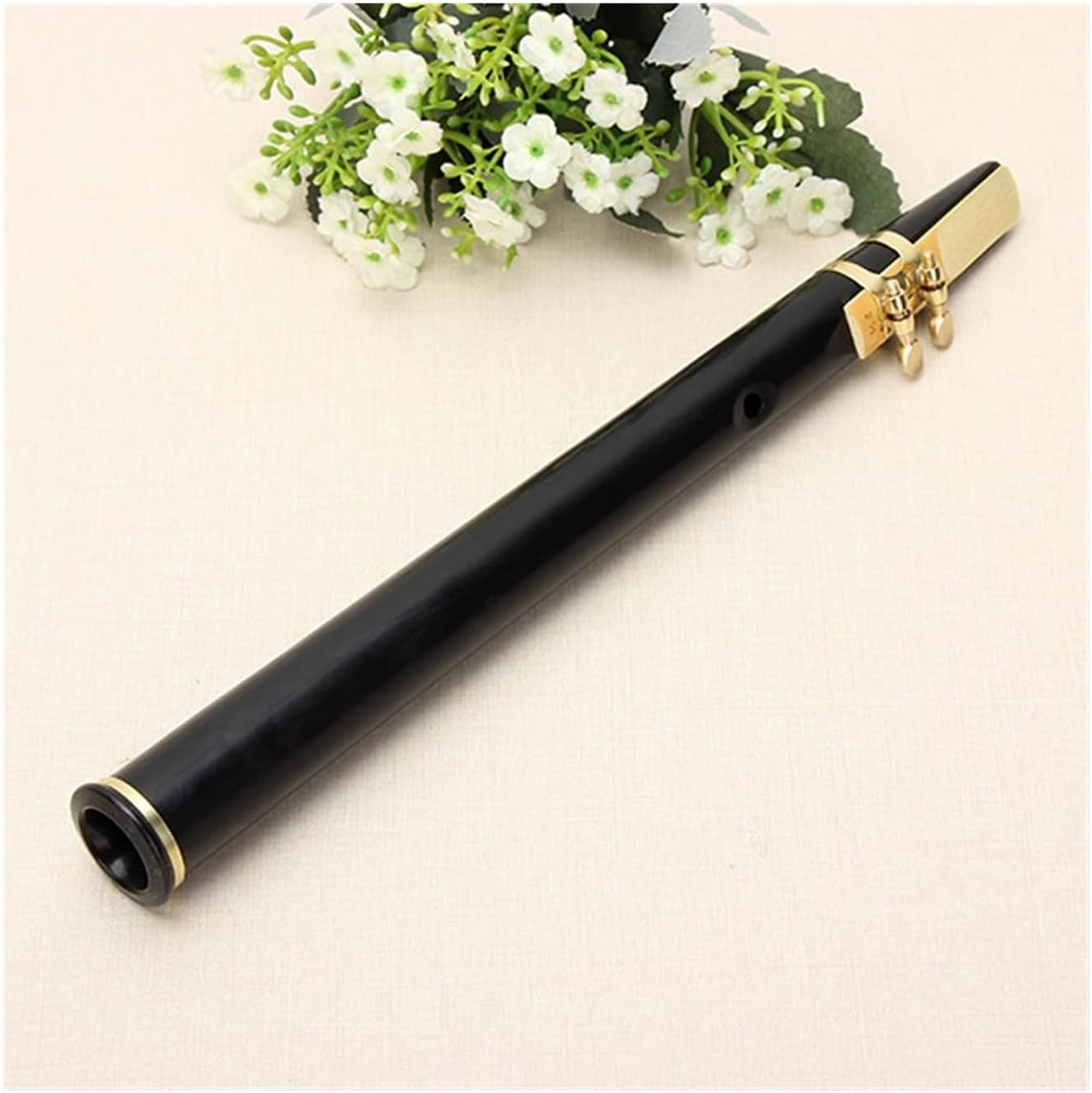 KESHUO Pocket Sax Alto C Tune Mini Sax Saxophone Little Sax Ophone Black with Carrying Bag Woodwind Instrument Brass Sax Beginners Kit