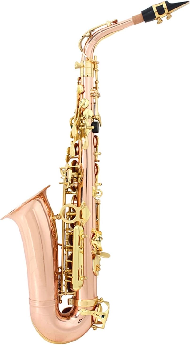 EB Alto Saxophone Phosphor Bronze Material E Flat Sax Woodwind Instrument with Case Gloves Reeds Strap