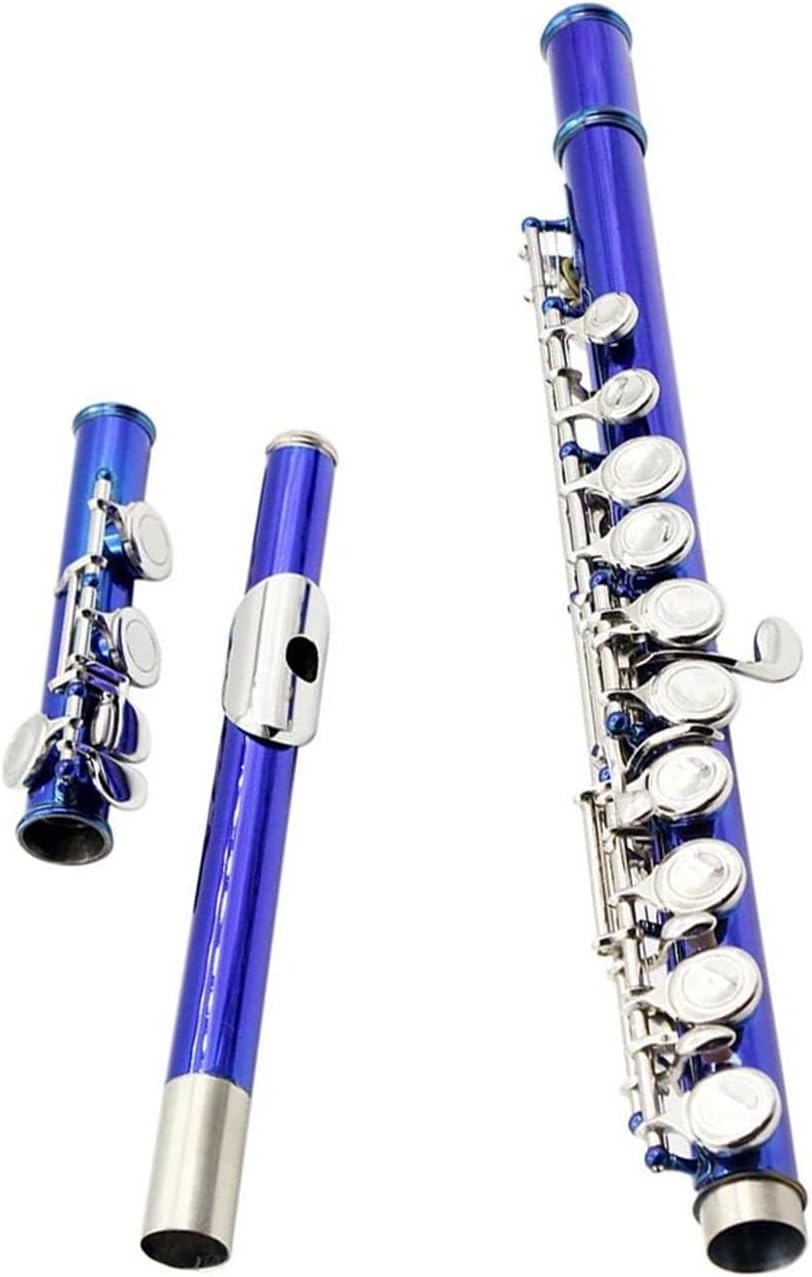 C Key Flute 16 Closed Holes White Copper With E Key Box Accessories