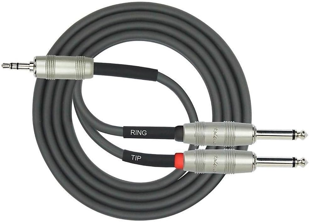 PreSonus Eris 3.5 3.5-Inch Low-Frequency Driver Media Reference Monitor with RF Interference with Full-Sized Headphones, Isolation Pads and Breakout Cable