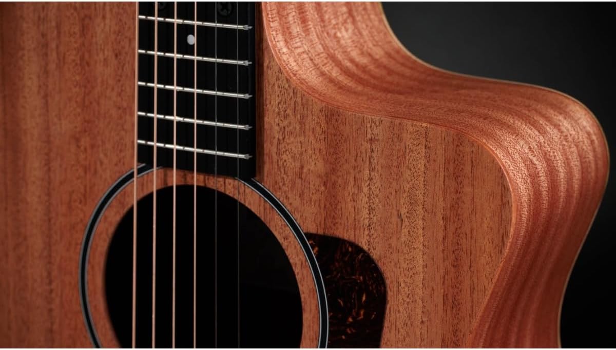 Taylor 24ce Neo-Tropical Mahogany/African Sapele Natural w/Fishman Sonitone GT-2