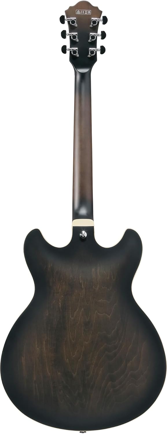 Ibanez AS53 AS Artcore Hollow Body Electric Guitar - Transparent Black Flat Bundle with Amplifier, Gig Bag, Tuner, Cable, Picks, Austin Bazaar Instructional DVD, and Polishing Cloth
