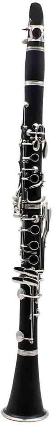 Clarinet B Key ABS Solid 17 Keys Color Professional Performance Woodwind Instrument(Black)