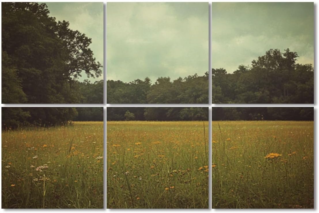 6 Pack Art Acoustic Panels Sound Absorbing Flowers Landscape Field Of Wildflowers Dense Overcast Sky Grass Decorative Soundproof Wall Panels Self Adhesive for Recording Studios Office 72