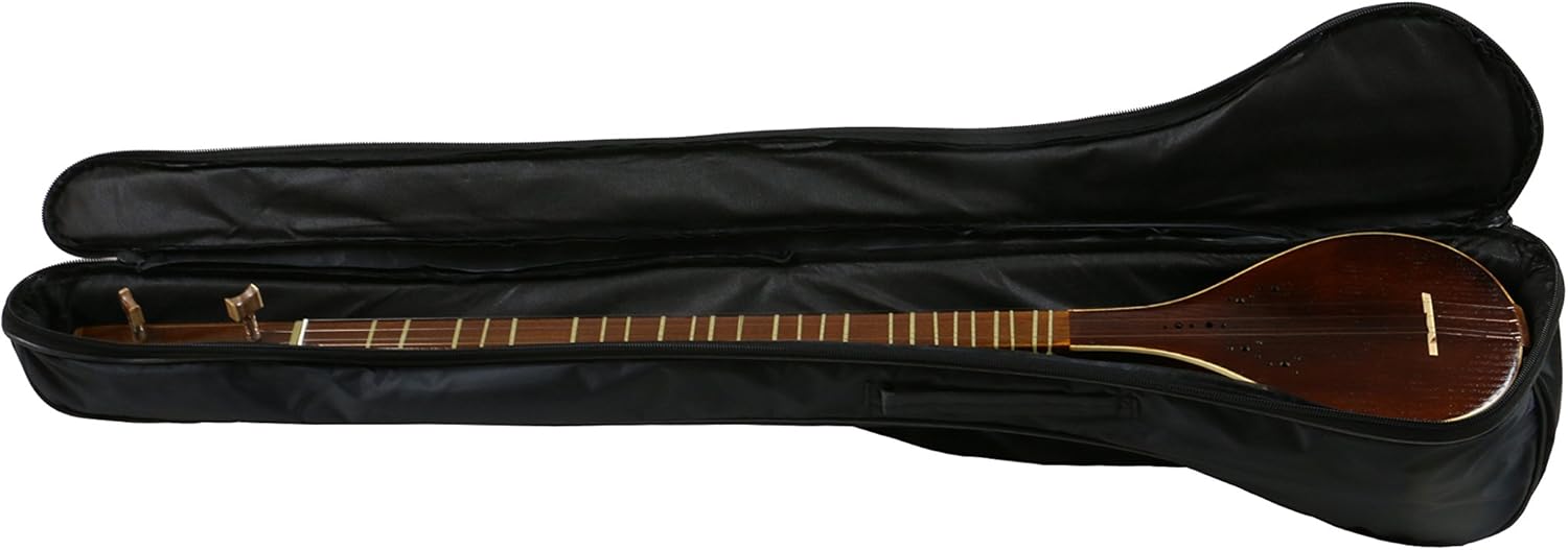 Persian Good Quality Setar, Sehtar,Sitar With a free Hard case