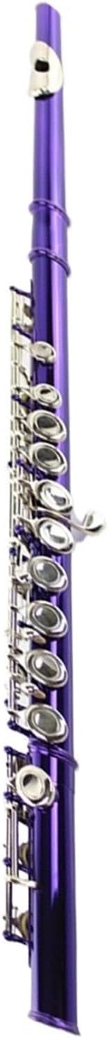 Wind Instruments Colored Flute 16 Closed Hole C Key Purple Lacquer Nickel