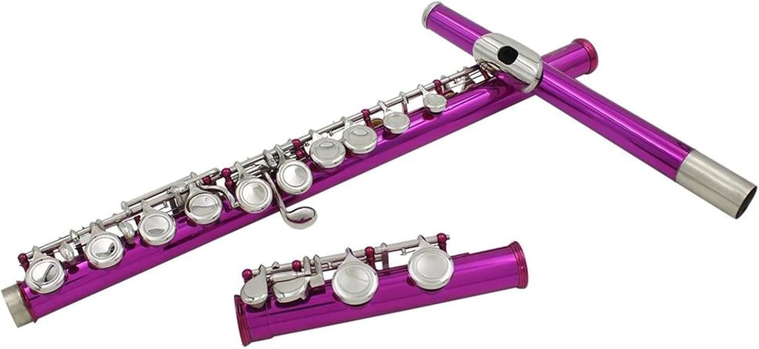 16 Close Holes C Key Flute Silver Plated Flute With E Key Woodwind Instrument Beginner (Color : Pink)