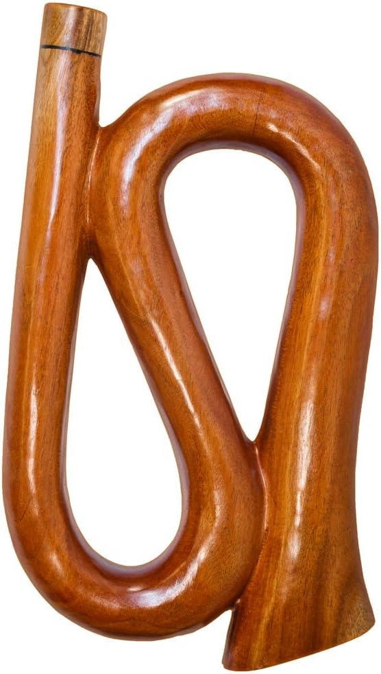 Travel Didgeridoo Saxophone 14