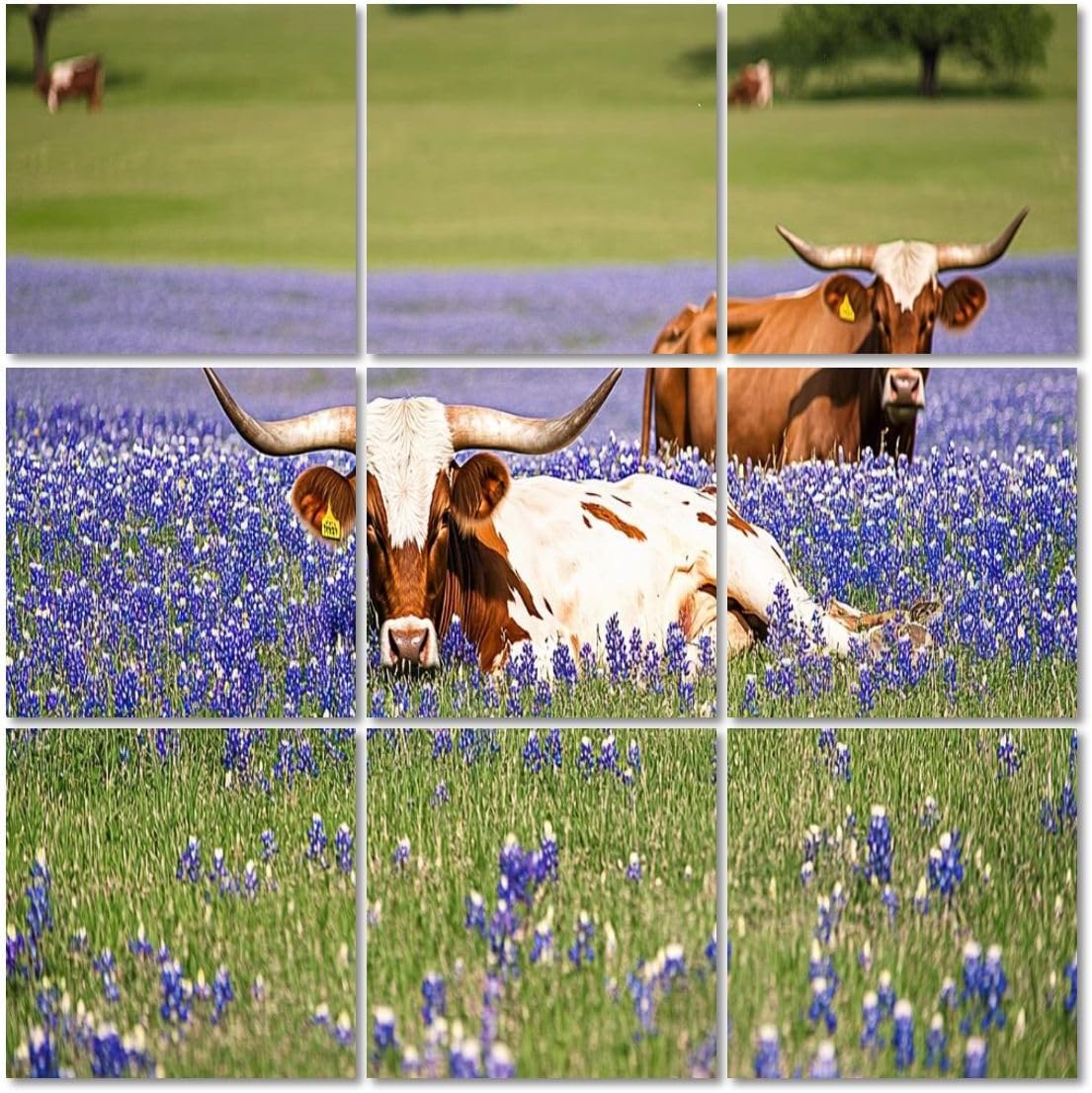 Art Acoustic Panels Self Adhesive Texas longhorn cattle bluebonnets 9 Packs Decorative Soundproof Wall Panels Large Sound Absorbing Panels for Home Office 60