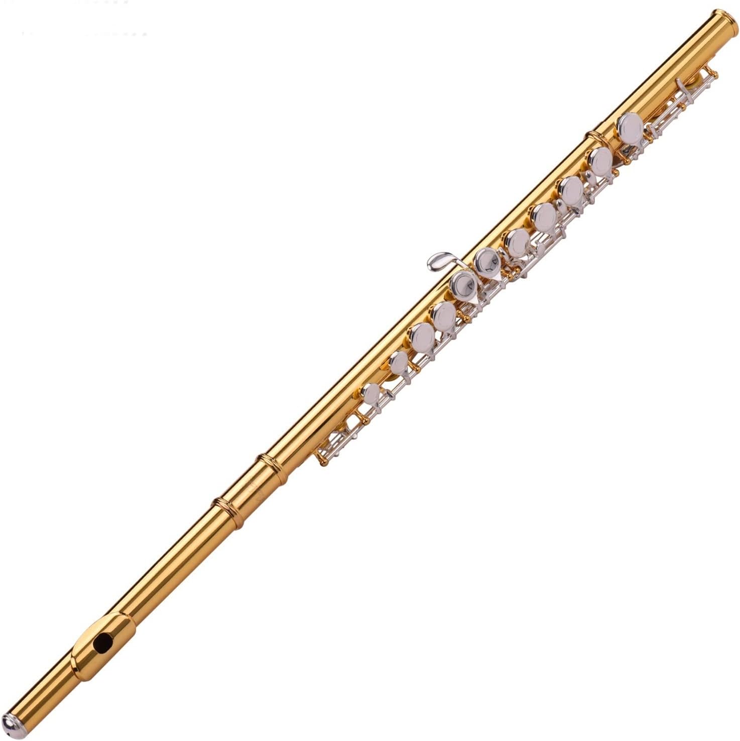 Flute Musical Instrument Professional Closed Hole C Flute Cupronickel Gold Plated Pipe 16 Silver Plated Key Wind Instrument with Carrying Case Starter Flute