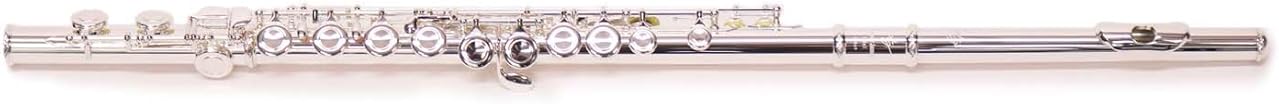 Trevor James Silver Flute Model 10XC - G Key, Closed Holes, Silver Finish