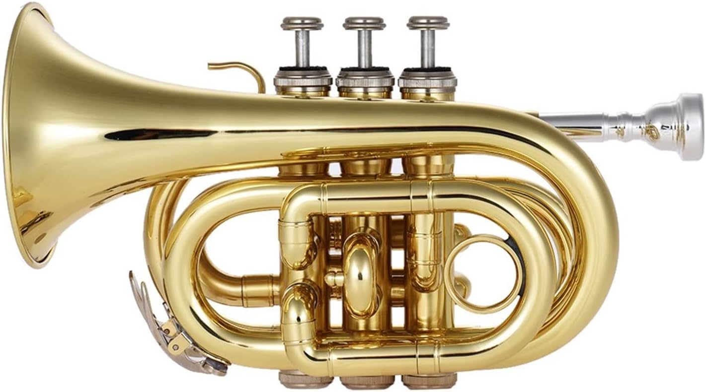 Trumpets Beginner Gold Lacquer Rotary Valve Type Bb Cornet with Cornet Box and Accessories Trumpet Set