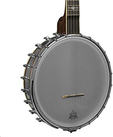 Gold Tone OT-800 Old Time Banjo w/Hard Shell Case