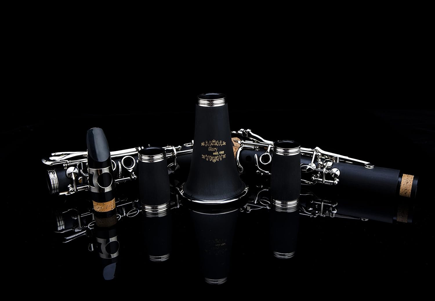 Glory GLY-PBK Professional Ebonite Bb Clarinet with 10 Reeds, Stand, Hard Case, Cleaning Cloth, Cork grease, Mouthpiece Brush and Pad Brush, Black