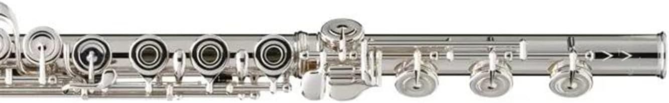 Woodwind Flute Silver Plated 17 Key Flute Hole Instrument