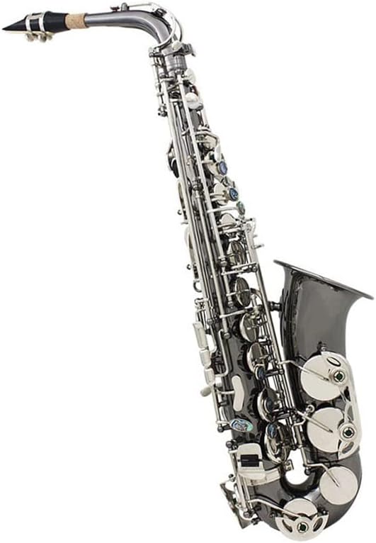 TSTS EB Alto Saxophone Woodwind Instrument Black Nickel with Case Brass Sax Full Kit (Color : 1)