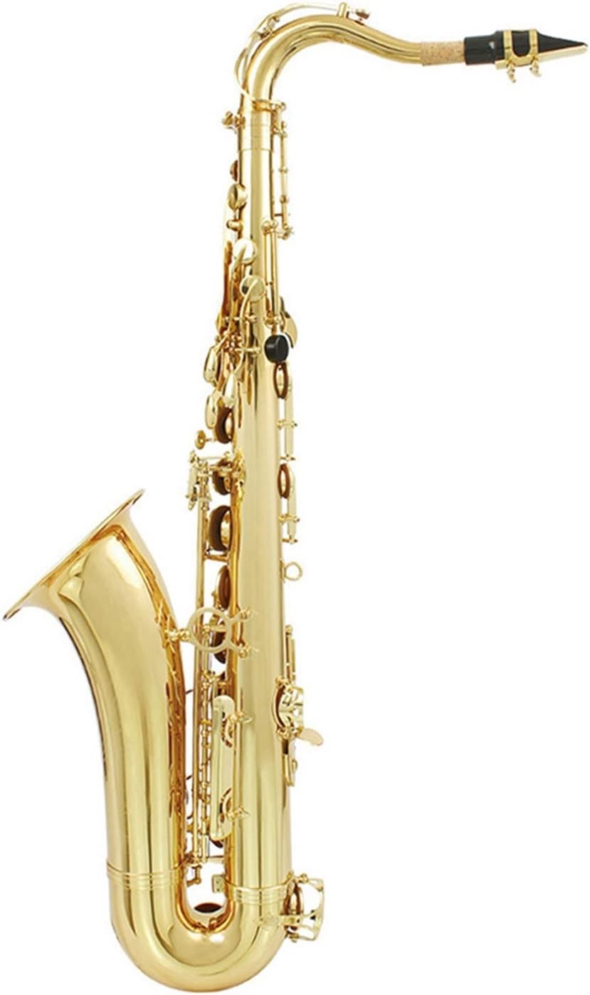 Bb Tenor Saxophone Brass Body Electrophoresis Gold Woodwind Instrument (Color : Gold)