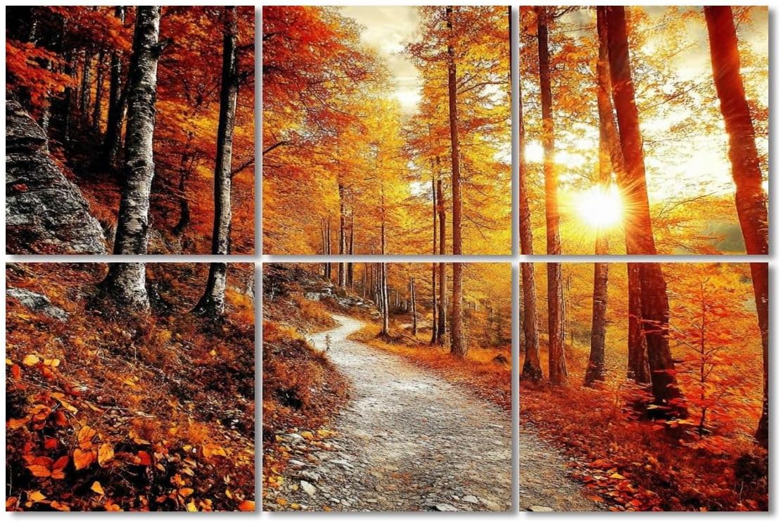 6 Pack Art Acoustic Panels Sound Absorbing Forest Autumn Fall Tree Leaves Sunset Tall Trees Birch Photographic Decorative Soundproof Wall Panels Self Adhesive for Recording Studios Office 72
