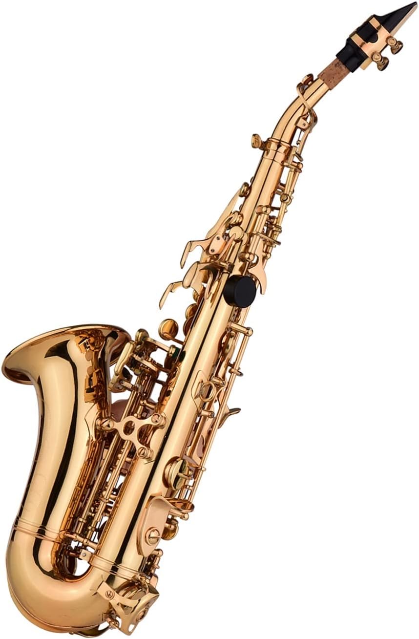 TSTS Mini Bb Saxophone Brass Material Gold Laquer Surface Woodwind Instrument Brass Sax Full Kit
