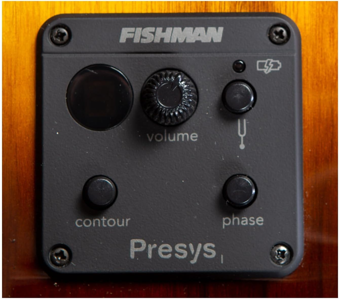 Breedlove Pursuit Exotic S Concerto 6-String Myrtlewood Made Acoustic Guitar CE with Slim Neck Profile and Pinless Bridge (Right-Handed, Tiger's Eye)