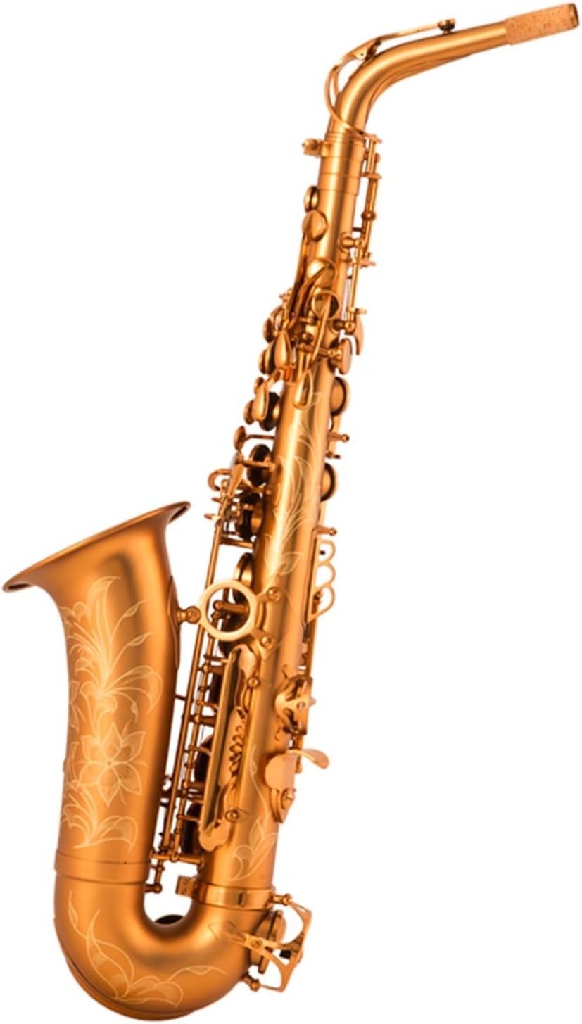 E Flat Alto Saxophone Woodwind Instrument Professional Beginners Grade Examination Matt Gold