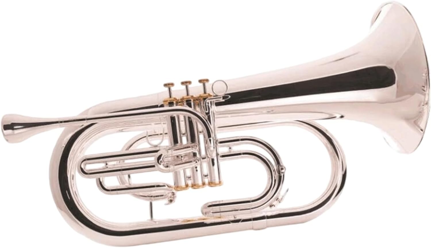 Euphonium Is A Suitable Instrument For Beginners Adults And Professionals To Practice Playing Euphonium All-brass Instrument