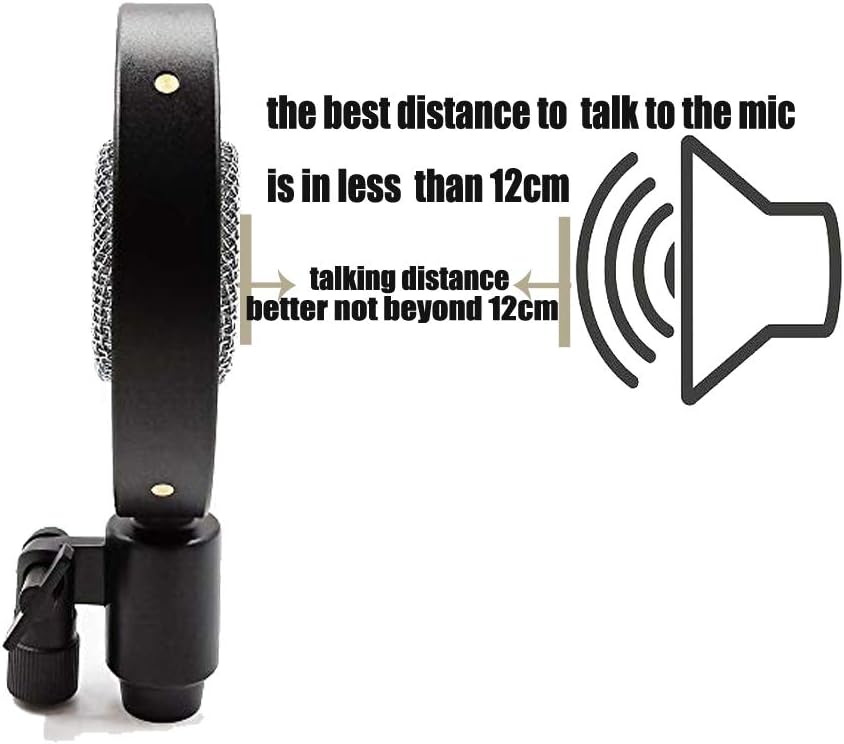 Antique Vintage Classic Cinema Theater Auditorium Speech Live Vocal 25mm Big Diaphragm Condenser Microphone