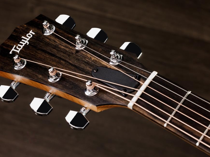 Taylor 110ce-S Dreadnought Sitka/Sapele Natural w/Gig Bag