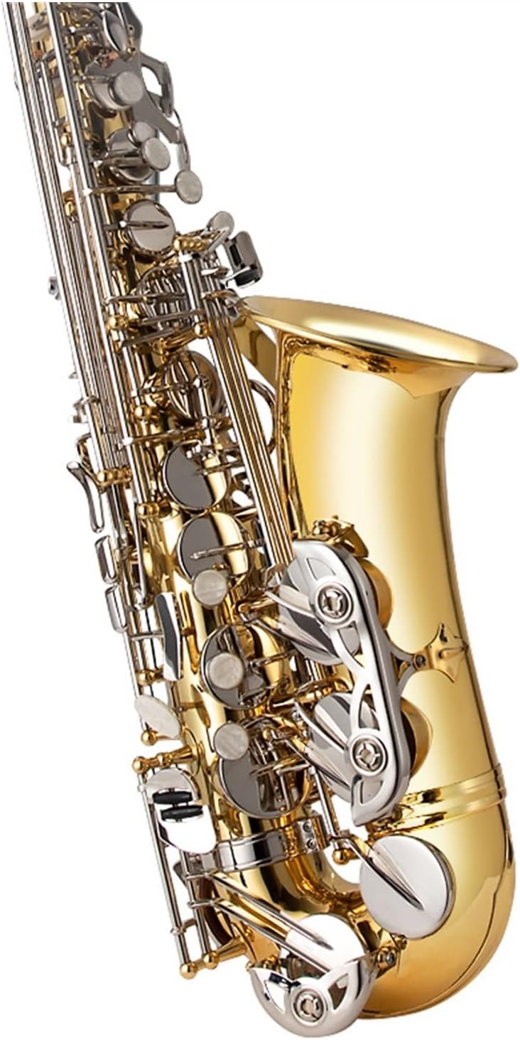 E-Flat Alto Saxophone Wind Instrument Suitable for Beginners and Adults Entry-Level Test Beginner Saxophone (Color : 4)