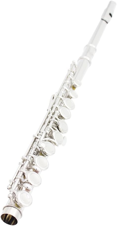 Flute Cupronickel Nicke Plated 16 Holes C Key Woodwind Instrument with Cleaning Cloth Stick Gloves Mini Screwdriver Padded Case