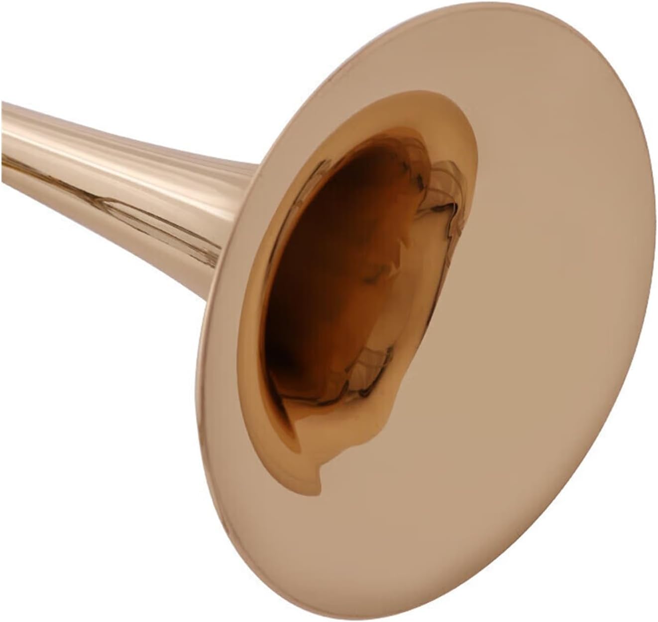 Bass Trombone Beginner Professional Instrument