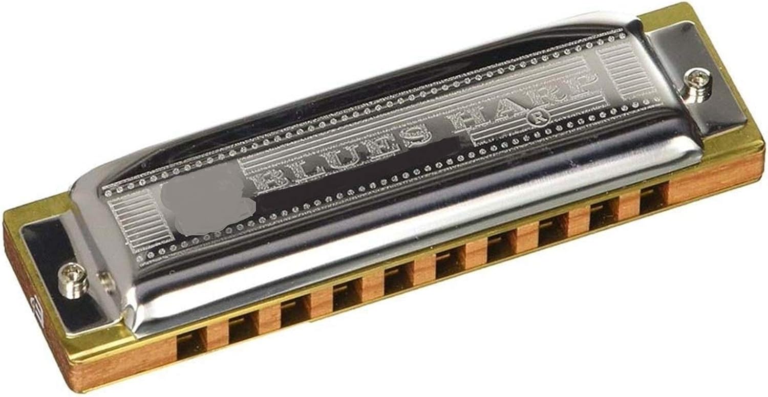 Harmonica Blues Harp 532/20 Diatonic Harmonica 10 Holes 20 Tone Mouth Organ Key C Musical Instruments (Color : Key Db)