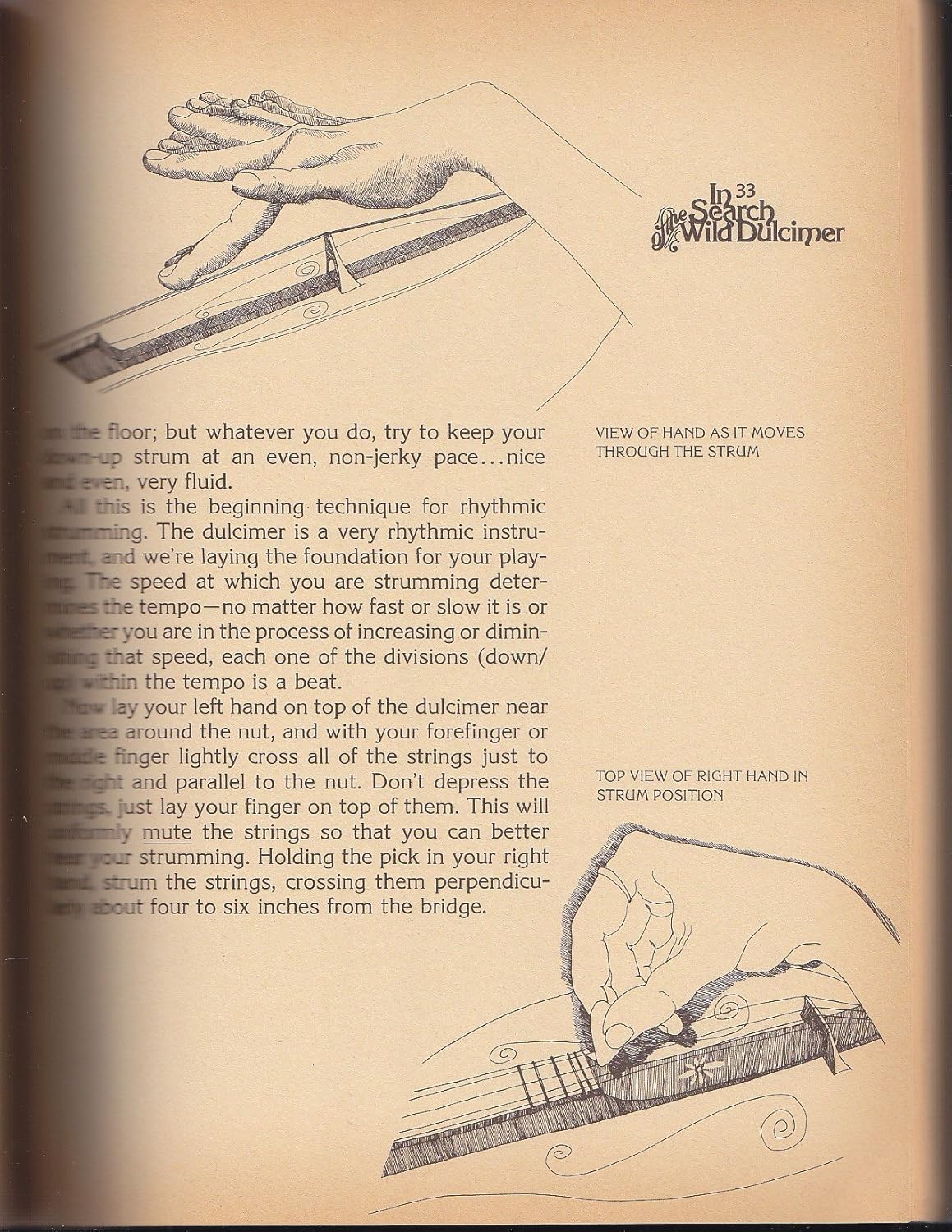 In Search of the Wild Dulcimer