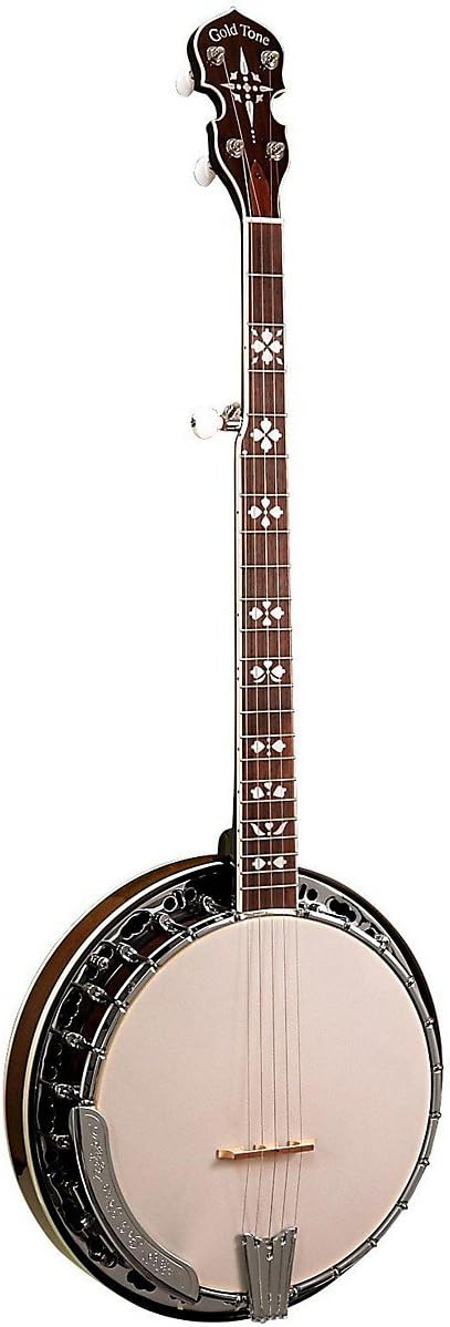 Gold Tone BG-150F Banjo