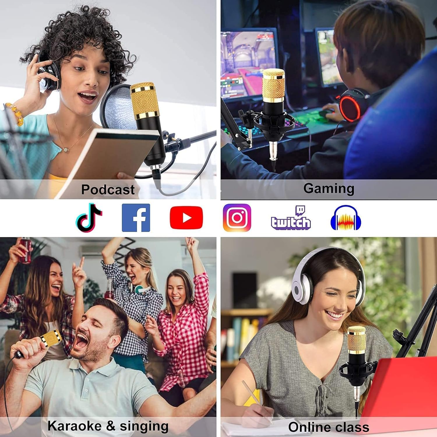 Microphone, Condenser Microphone Speaker Set with Sound Card for Karaoke,Singing,Party, Black