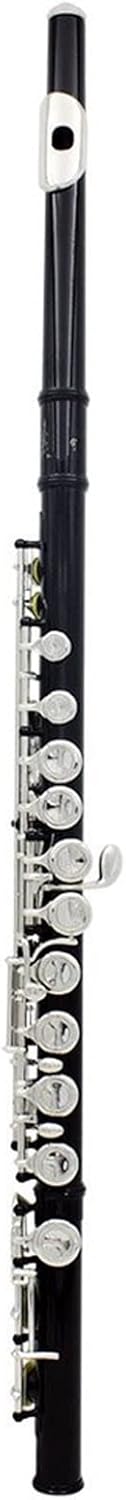 Flutes Flute Cupronickel Plated Silver 16 Holes C Key Woodwind Instrument with Gloves (Color : Black)