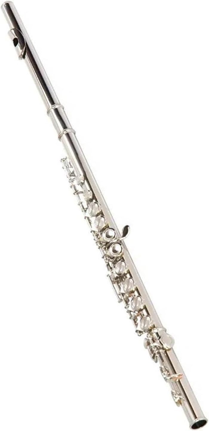 Professional Flute Instrument Professional Wind Instrument White Copper Solid 16 Closed Hole C Key Flute