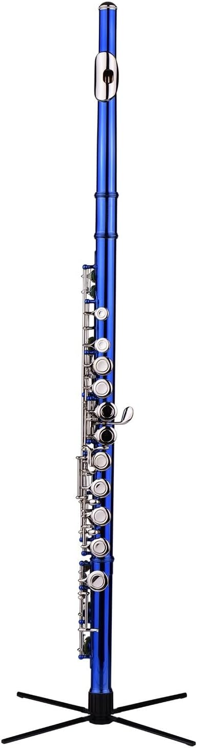 Flute Closed Hole C Flute 16 Keys Wind Instrument with Carry Case Flute Stand Flutes Musical Instruments