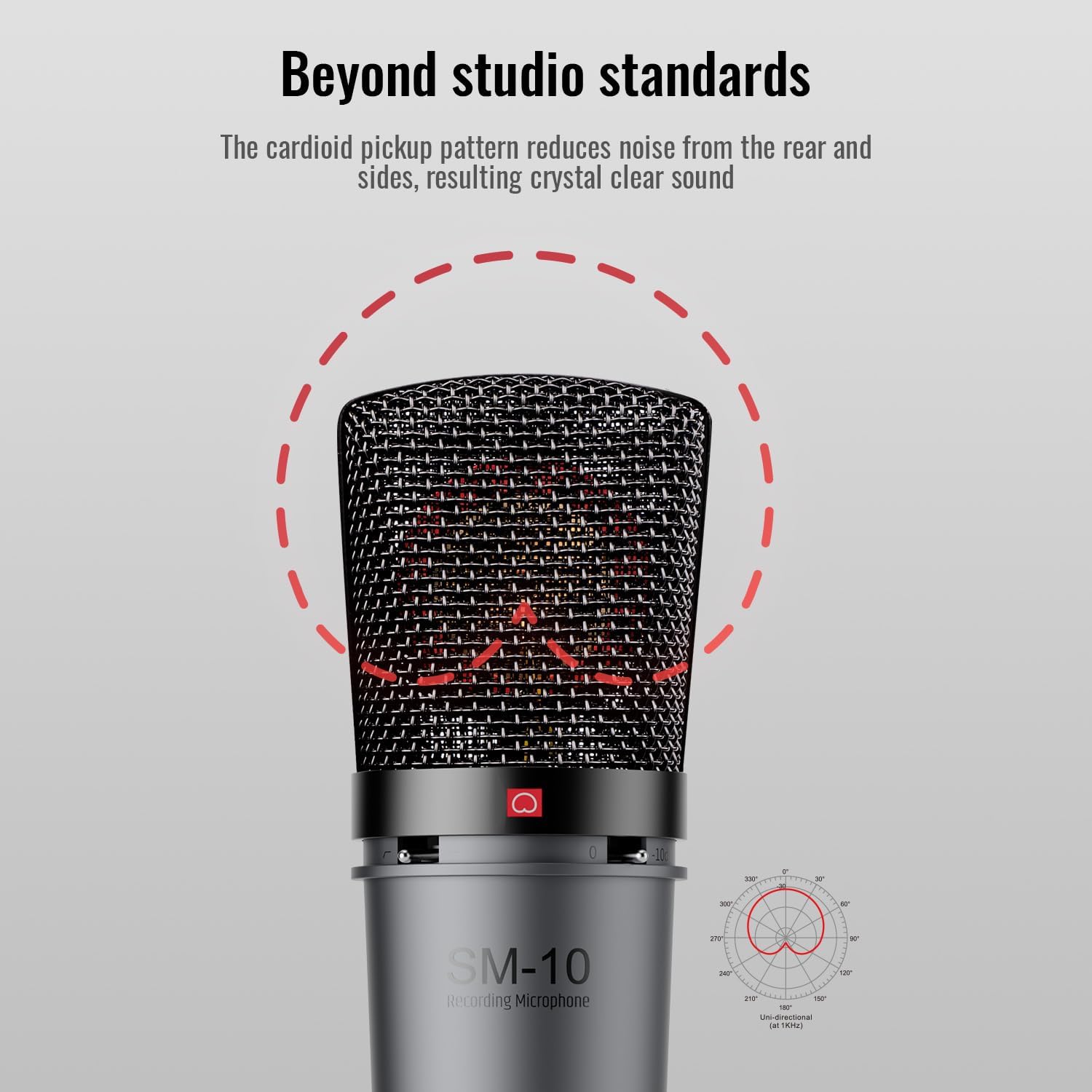 TAKSTAR XLR Cardioid Condenser Microphone, SM-10 34mm Large Diaphragm Recording Studio Microphone with Shock Mount, Perfect for Podcasting, Live-Streaming, Interview, Broadcasting, Vocal, Instrument