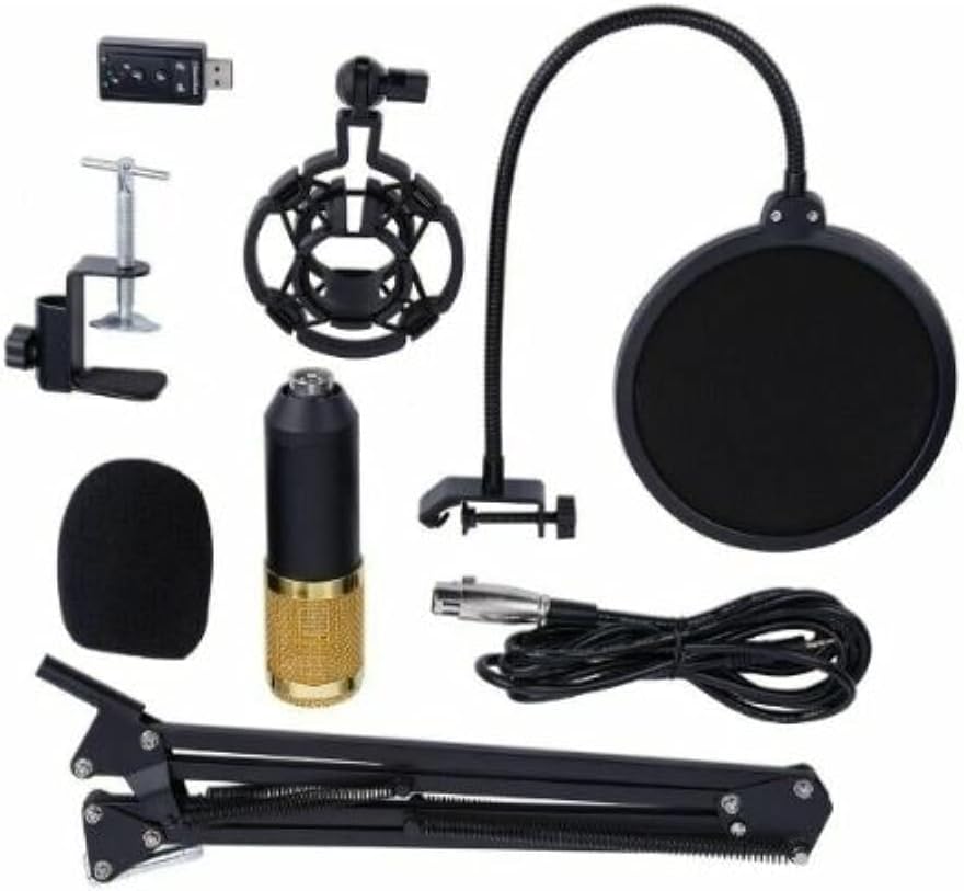 Studio Audio Recording Arm Stand Shock Mount Professional Condenser Microphone Kit