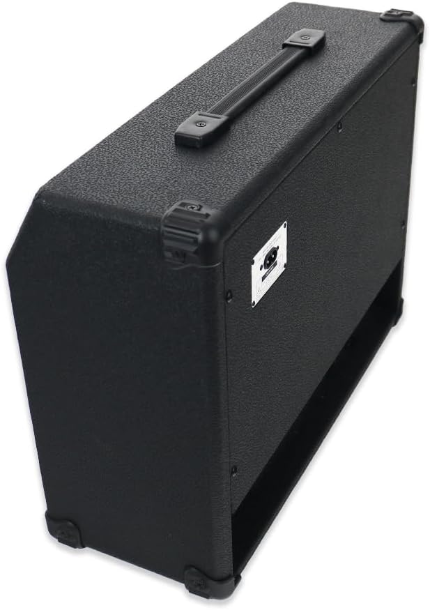 40W Black Guitar Amplifier Combo Band Practice Amp Portable With Dual Inputs, Delay, Reverb,Treble,Middle, Bass, Gain And Mic.Aux.6.5