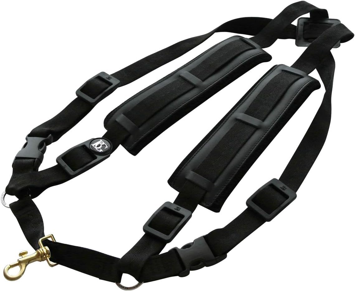 BG(0002698761) Alto Horn, (S40CMSH)