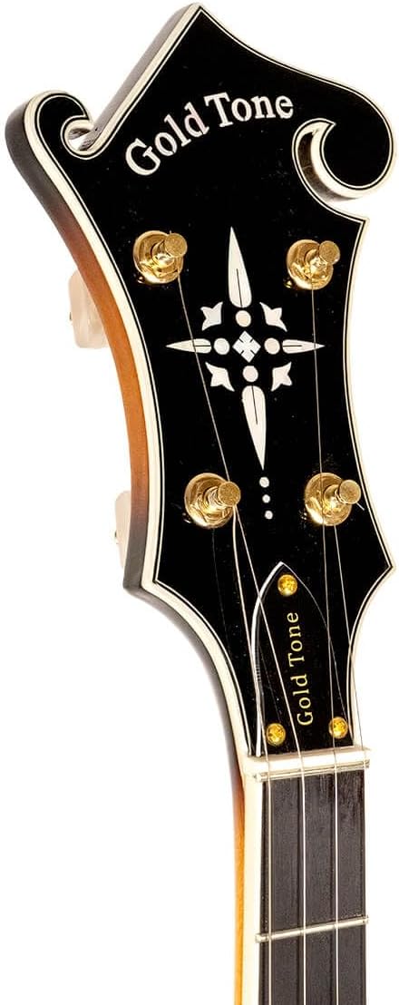 Gold Tone EBM-5 Electric Banjo (Five String, Tobacco Sunburst)