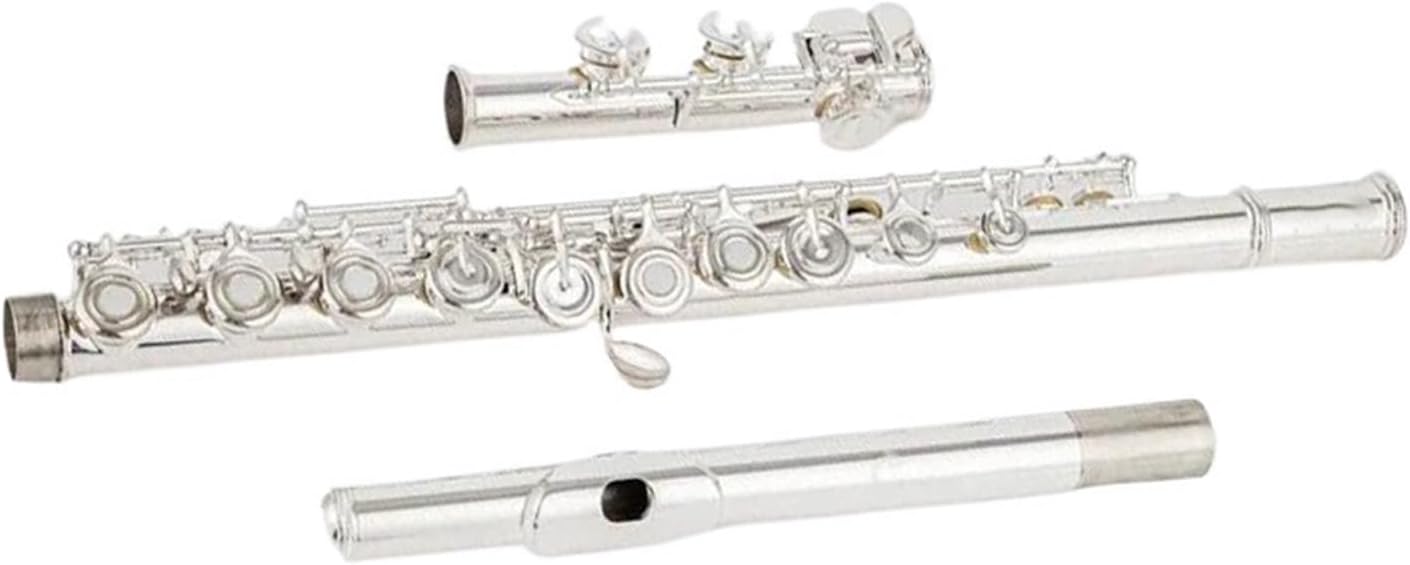 Woodwind Instruments Flute Cupronickel Opening C Key 16 Hole Flute Silver Plated Musical Instruments With Case
