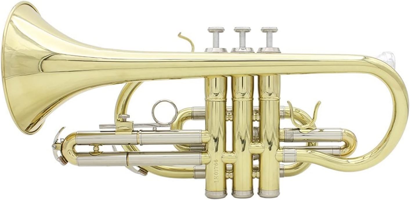 KESHUO Professional Bb Flat Cornet Brass Instrument with Carrying Case Gloves Cleaning Cloth Brushes Trumpets