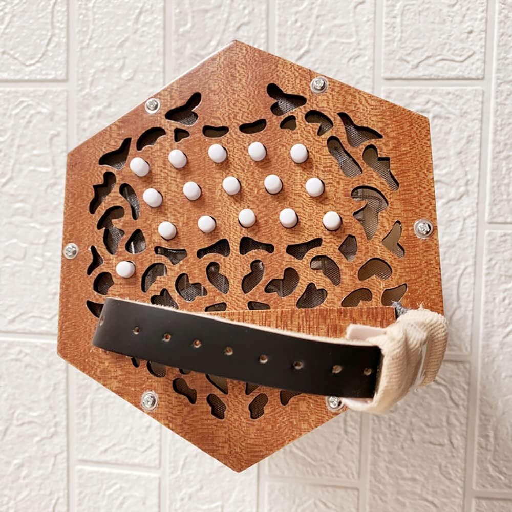 30 Buttons Concertina Accordion, Hand Piano Accordion Music Instrument, Musical Instrument For Adults Beginners, With Carrying Bag, Adjustable Hand Strap