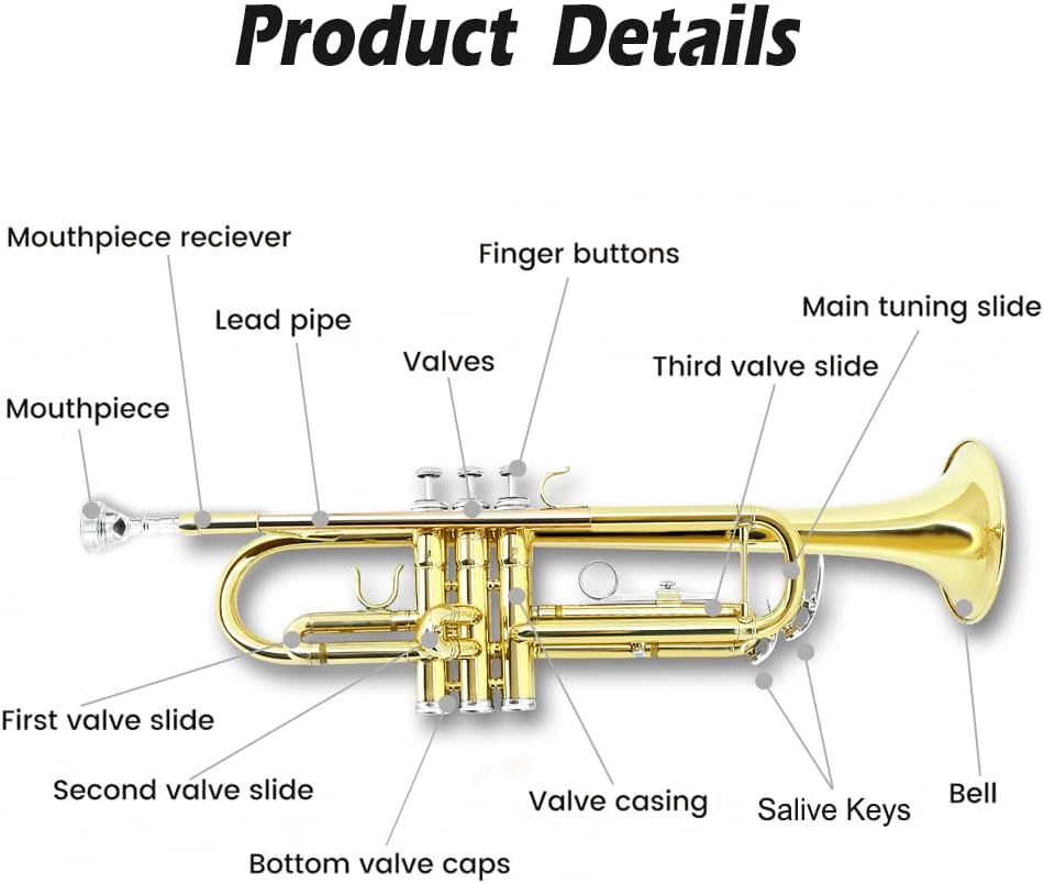 Yinfente Bb Standard Trumpet Set for Beginner or Advance Student, Brass Student Trumpet Instrument With Hard Case, 7C Mouthpiece, Cleaning Kit,White Gloves Glod