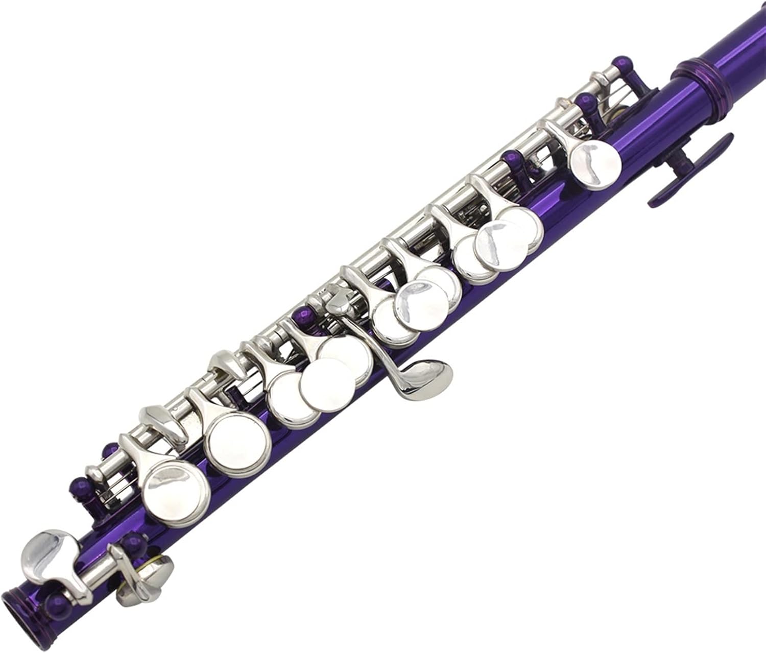 TSTS Flutes Musical Instrument Purple 16 Holes + E Key ​Woodwind Instrument Half-Size Flute Cupronickel with Box Musical Instrument Accessories